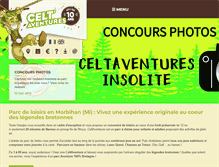 Tablet Screenshot of celtaventures.com